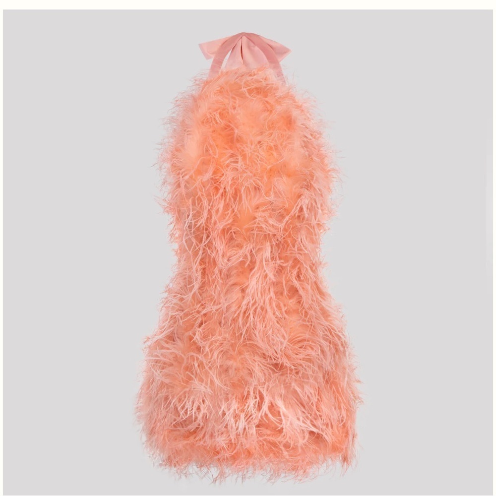 SAFFIYYAH PAUL Ostrich Feather Peach High Neck Open Back Mini Dress M/L - Picture 16 of 16